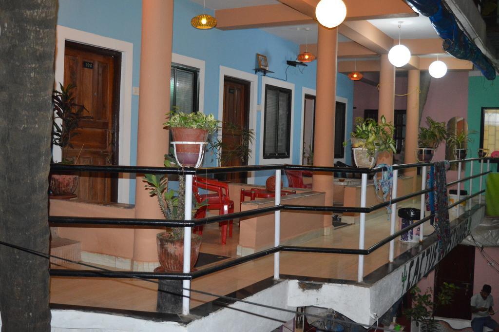 Cactus Guesthouse Arambol Zewnętrze zdjęcie